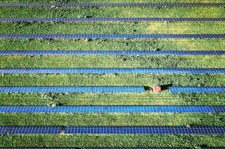 fonduri europene parcuri fotovoltaice, POIM eficienta energetica, fonduri eficienta energetica, fonduri energie, finantare energie, fonduri europene energie, fonduri europene eficiență energetică, Consultanță fonduri europene, consultanță fonduri europene nerambursabile, consultanță fonduri nerambursabile, Consultanță proiecte europene, asistență finanțare europeană, suport obținere fonduri UE, expertiză finanțare fonduri europene, servicii depunere proiecte europene, ajutor în accesarea fondurilor europene, consultanță în elaborarea propunerilor de proiect, sprijin în obținerea de finanțări europene, asistență în implementarea proiectelor europene, consultanță în implementarea de proiecte cu finanțare europeană, servicii de îndrumare în accesarea fondurilor UE, ajutor în elaborarea de dosare de finanțare europeană, asistență în realizarea de propuneri de proiect pentru finanțare UE, suport în obținerea de granturi europene, consultanță în implementarea de proiecte cofinanțate de UE, sprijin în accesarea de fonduri nerambursabile europene, asistență în obținerea de finanțare prin intermediul programelor UE, servicii de consultanță pentru proiecte cu finanțare europeană, ajutor în elaborarea de propuneri de proiect pentru finanțare europeană, expertiză în accesarea de fonduri europene pentru proiecte, fonduri europene agrovoltaice, agricultura